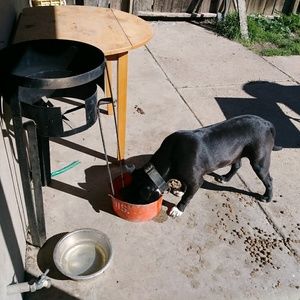 Meet your Posher, Andrew